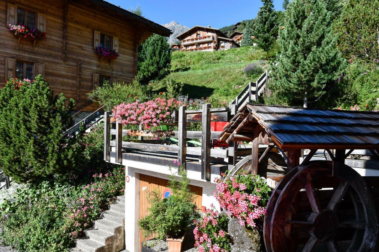 Hotel De Moiry Superieur กรีเมนทซ์ ภายนอก รูปภาพ